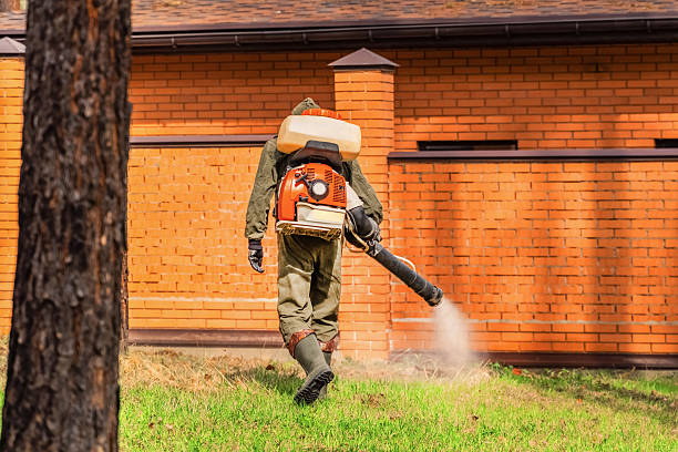 Trusted Termite Control service in Mount Penn, PA - Nex Pest Control